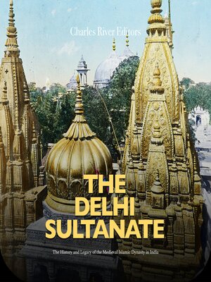 cover image of The Delhi Sultanate